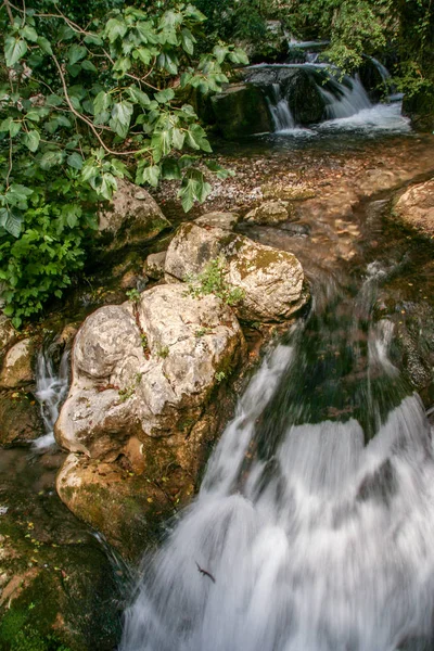 Folyó Alburno Fokozódását Cilento Nemzeti Park Természetvédelmi Gyönyörű Környezete — Stock Fotó