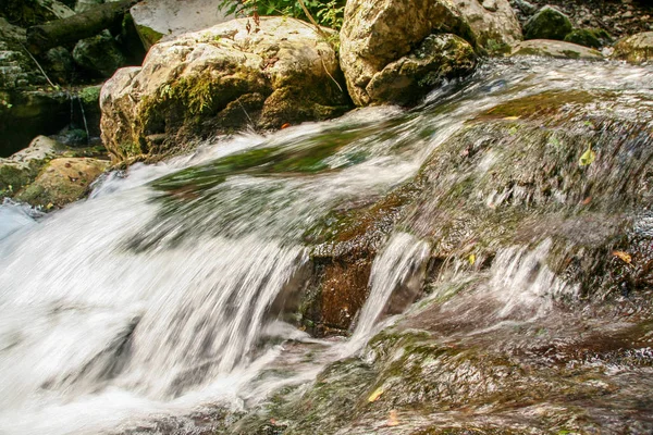 Belo Ambiente Torno Ressurgimento Rio Bussento Uma Reserva Natural Parque — Fotografia de Stock