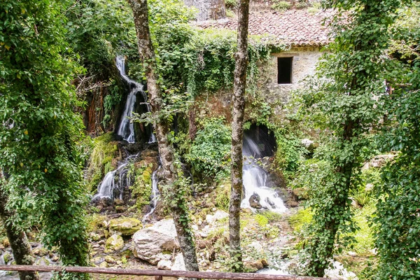 The ancient water mill in the natural reserve of Morigerati, by Bussento river in Cilento National Park, Salerno province, Campania, Italy