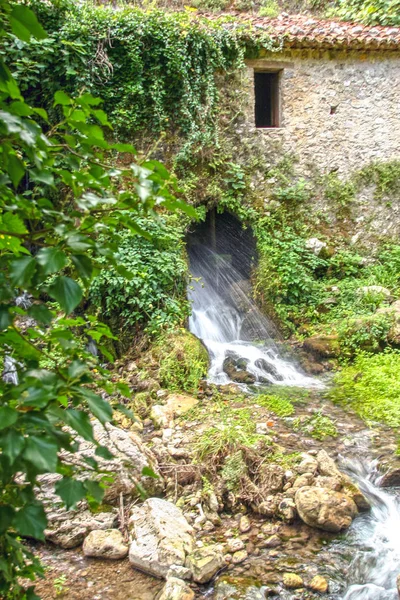 The ancient water mill in the natural reserve of Morigerati, by Bussento river in Cilento National Park, Salerno province, Campania, Italy