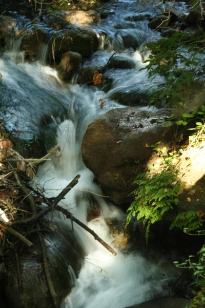 Rivière Sinni Cours Eau Dans Parc National Pollino Basilicate Italie — Photo