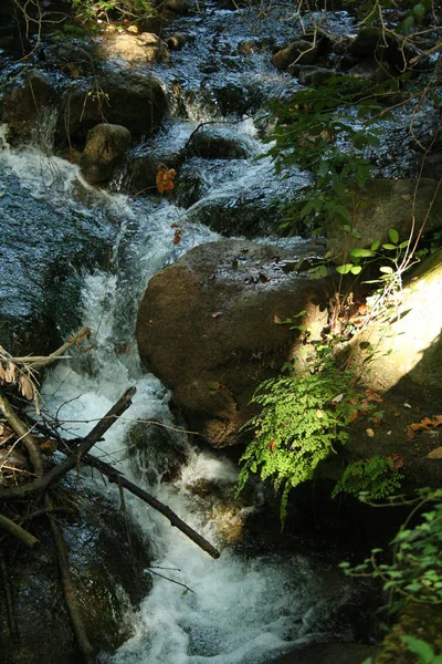 River Sinni Water Stream Pollino National Park Basilicata Italy Royalty Free Stock Images