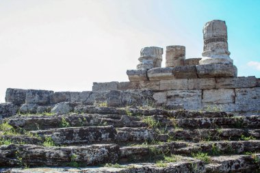 Paestum, antik Poseidonia Yunan koloni arkeolojik sitedeki Roma amphiteathre