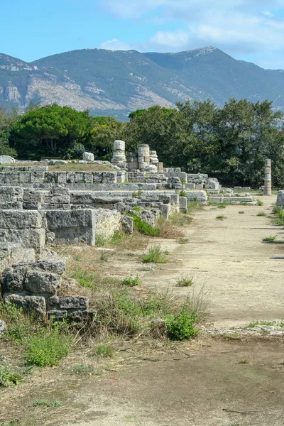 Paestum Antik Poseidonia Yunan Koloni Arkeolojik Sitesi — Stok fotoğraf
