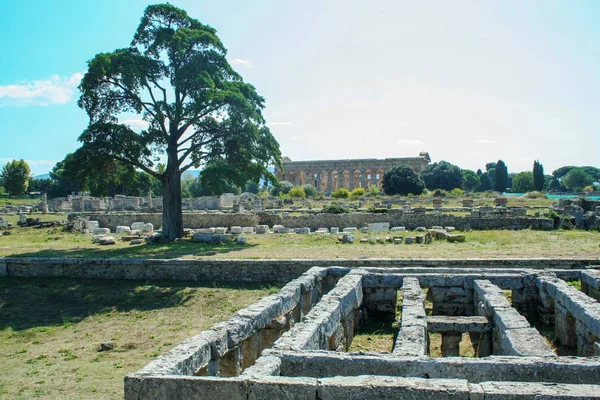 Gymnasion Yüzme Havuzu — Stok fotoğraf