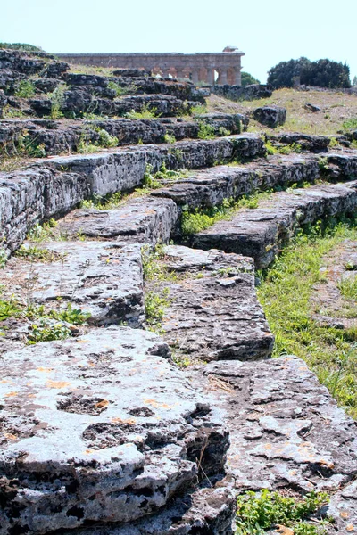 Romeinse Amphiteathre Archeologische Site Van Paestum Oude Poseidonia Griekse Kolonie — Stockfoto