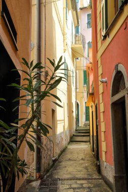 Bir Monterosso al mare