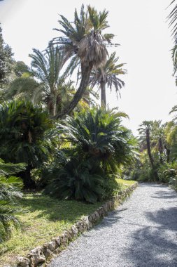 Villa Durazzo Pallavicini