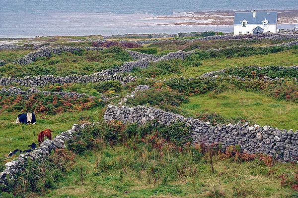 Inishmore — Stok fotoğraf