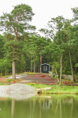 Finlandiya 'da orman ve su