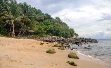  Vietnam 'daki Cu Lao Cham adalarından biri olan Cu Lao Cham adasındaki sahil, Orta Vietnam' daki biyosfer rezervi.