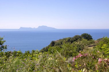 Posillipo 'daki Virgliano parkından görüldüğü gibi Napoli kıyıları ve körfezi manzarası
