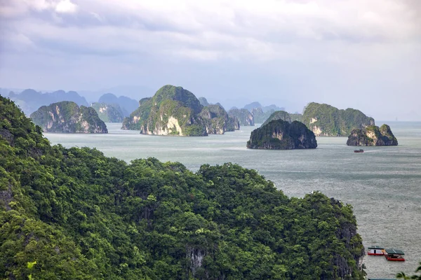 Bellissimo Scenario Della Baia Halong Vietnam — Foto Stock