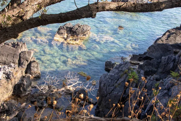 Сценічний Краєвид Узбережжя Маратеї Базилікаті Італія — стокове фото