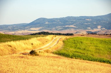 San Quirico d 'Orcia' da - İtalya - Ağustos 2020 - Toskana kırsalının manzarası ve yazın val d 'Orcia