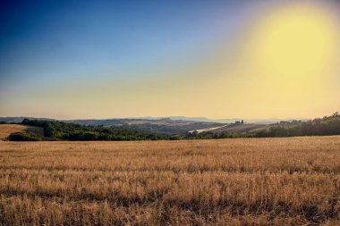 San Quirico d 'Orcia' da - İtalya - Ağustos 2020 - Toskana kırsalının manzarası ve yazın val d 'Orcia