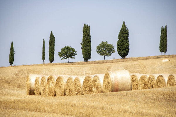 At Asciano - Italy - On august 2020 - Landscape of Tuscan countryside in Val d 'Orcia and so called crete senesi