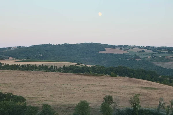 Στο San Quirico Orcia Ιταλία Αύγουστος 2020 Κυπαρίσσι Σειρά Στην — Φωτογραφία Αρχείου