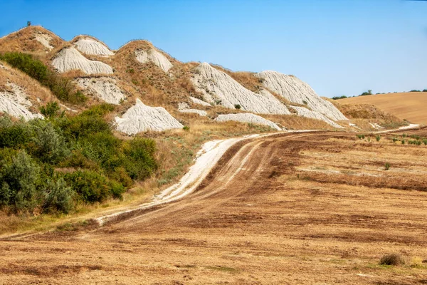 Ascianoで イタリア 2020年8月 ヴァル ドルシアのトスカーナ地方の風景と呼ばれる具体的なSenesi — ストック写真