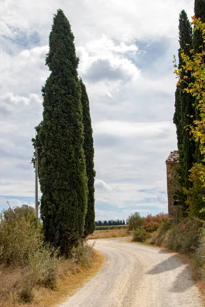 San Quirico Orcia Itálie Srpnu 2020 Krajina Toskánské Krajiny — Stock fotografie