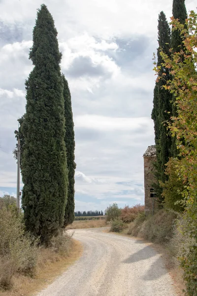 在意大利San Quirico Orcia August 2020 Landscape Tuscan Rural — 图库照片