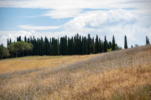 San Quirico Orcia Italien Augusti 2020 Landskap Den Toskanska Landsbygden — Stockfoto