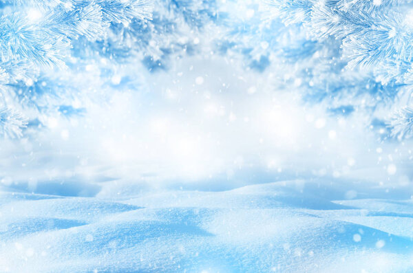 Winter bright background. Christmas landscape with snowdrifts and pine branches in the frost