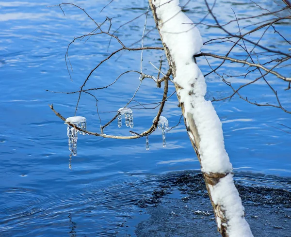 Des Glaçons Sur Branche Arbre Pendent Sur Eau — Photo