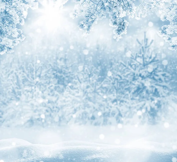 Winter Helle Hintergrund Weihnachtslandschaft Mit Schneeverwehungen Und Tannenzweigen Frost — Stockfoto