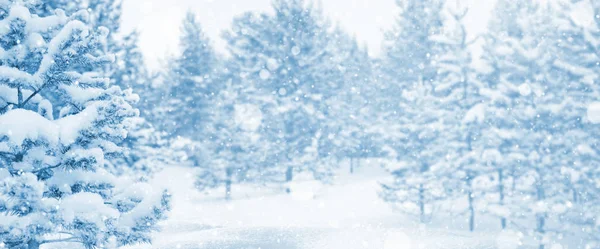 Зимний Пейзаж Зимний Фон Заснеженными Хвойными Лесами — стоковое фото