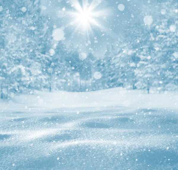冬天明亮的背景 圣诞景观 雪地飘扬 松枝结霜 — 图库照片