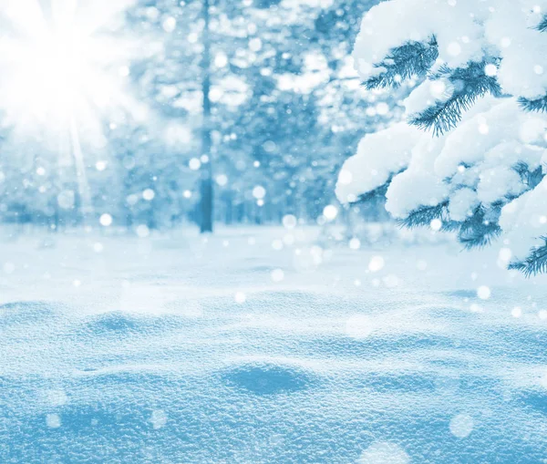 Winter Heldere Achtergrond Kerstlandschap Met Sneeuwverschuivingen Dennentakken Vorst — Stockfoto