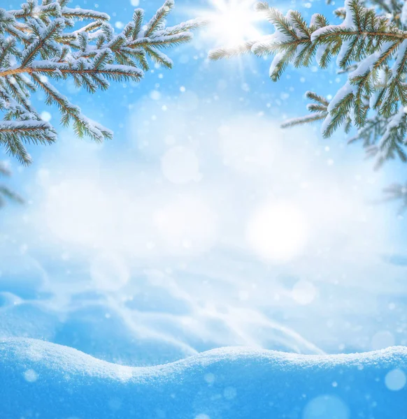 Kış parlak arka plan. Karlı bir Noel manzarası ve buzullarda çam dalları.