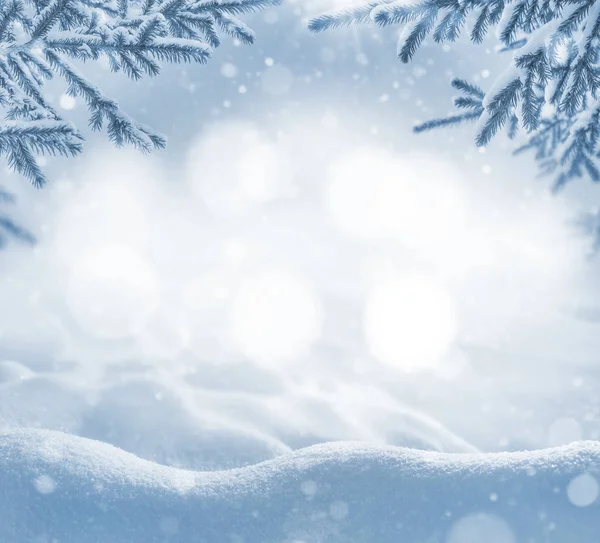 Vinter Ljus Bakgrund Jullandskap Med Snödrev Och Tallgrenar Frosten — Stockfoto