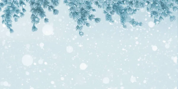 Heller Winterhintergrund Mit Schneebedeckten Kiefern Natürlicher Festlicher Hintergrund — Stockfoto