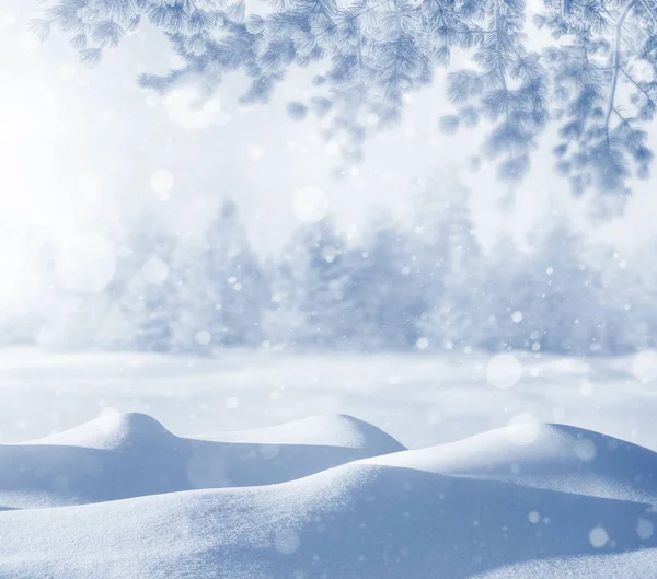 Χειμερινές Διακοπές Φόντο Χριστουγεννιάτικο Τοπίο Πολύ Χιόνι Και Κλαδιά Πεύκου — Φωτογραφία Αρχείου