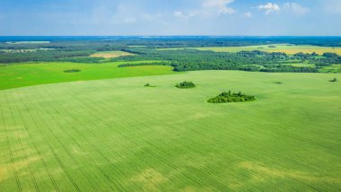 Yaz kırsal peyzaj. Kuş bakışı pitoresk kırsal alanlar. Drone'dan hava fotoğrafçılığı