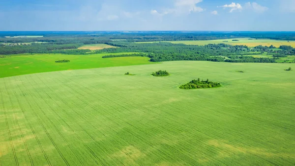 Summer rural landscape. Picturesque rural fields from a bird\'s eye view. Aerial photography from drone