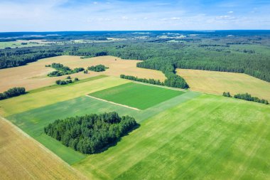 Yaz kırsal peyzaj. Tarım alanlarının havadan incelenmesi. Kuş bakışı pitoresk kırsal alanlar.