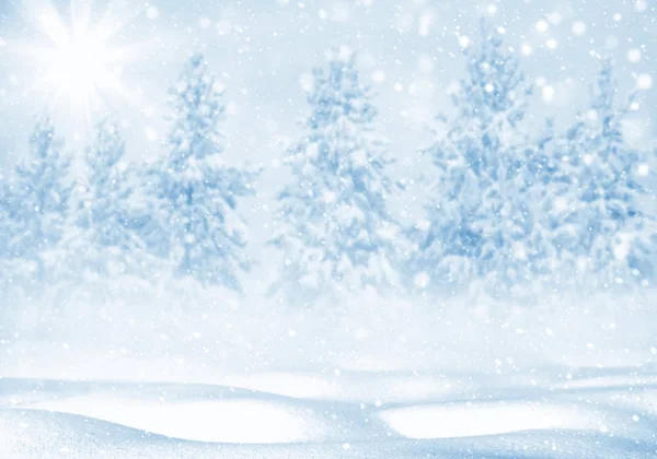 Зимовий Яскравий Фон Різдвяний Пейзаж Снігопадами Сосновим Лісом Морозі — стокове фото