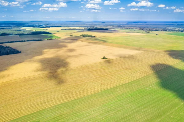 Summer rural landscape. Aerial survey of agricultural fields. Picturesque rural fields from a bird's eye view.