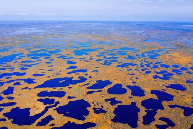 Sonbahar manzarası. Batı Sibirya Ovası. Hava görüntüsü. Sonsuz ormanlar ve Sibirya bataklıkları.