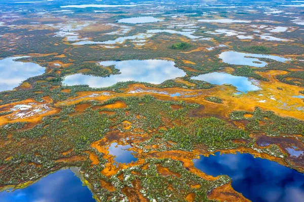 Aerial photography of landscape in Western Siberia. Northern Siberian landscape with colorful swamp and forest.