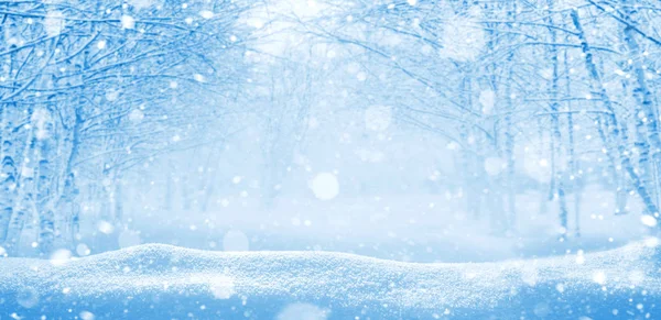 Winter Achtergrond Kerst Landschap Met Sneeuwlaag Takken Vorst — Stockfoto