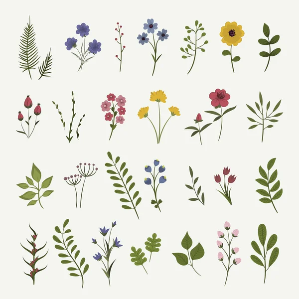 Composition Florale Sertie Fleurs Colorées — Image vectorielle