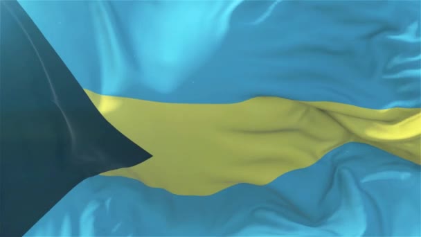 Bahamas Drapeau Ralenti Drapeau Classique Soufflement Doux Dans Vent Par — Video