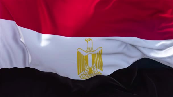 Bandera Egipto Cámara Lenta Bandera Clásica Soplado Suave Viento Día — Vídeo de stock