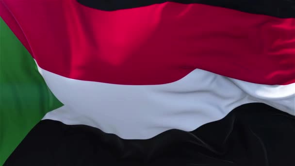 Bandera Sudán Cámara Lenta Bandera Clásica Soplado Suave Viento Día — Vídeo de stock