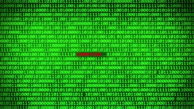 Duvar yeşil ikili kod bilgisayar dolandırıcılık kelime arasında rastgele ikili veri matris arka plan ortaya