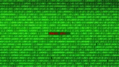 Duvar yeşil ikili kod e-posta saldırı kelime arasında rastgele ikili veri matris arka plan ortaya